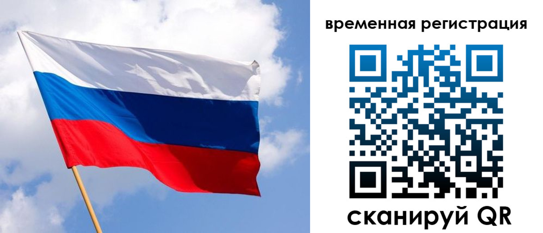 прописка для школы в Домодедово
